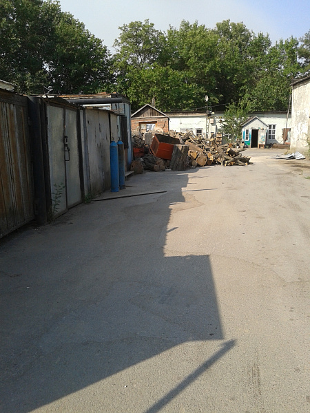 20150813_085227.jpg