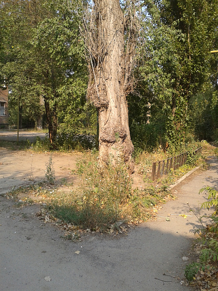20150813_090039.jpg