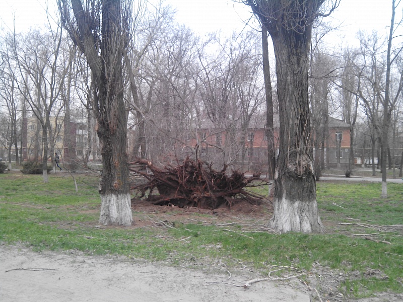 img_20150329_073508.jpg
