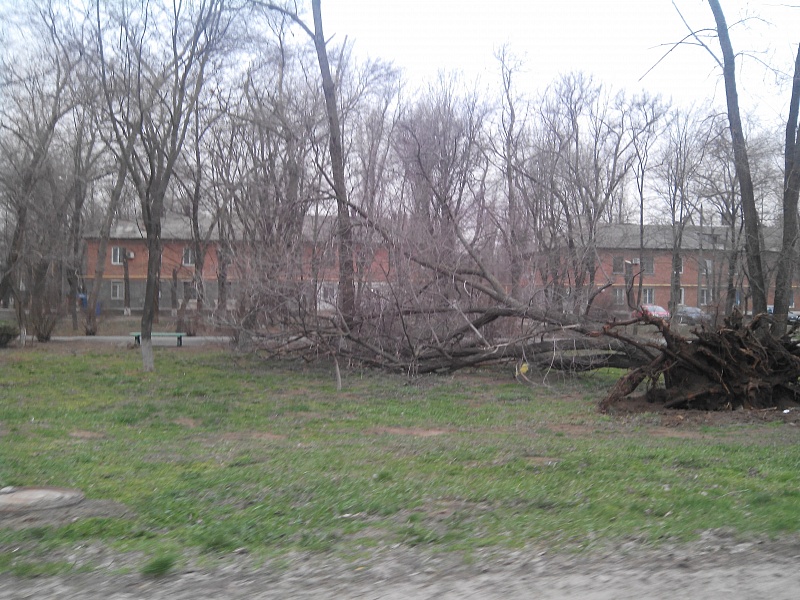 img_20150329_073513.jpg