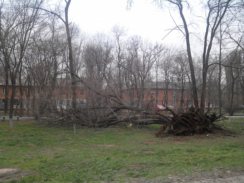 img_20150329_073518.jpg