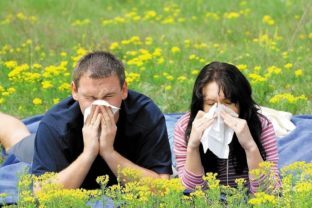 Сенная лихорадка: провоцирующие факторы и домашние способы борьбы с симптомами