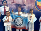 Россыпь наград завоевали волгодонские каратисты в открытом турнире 