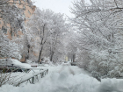 Снежная сказка: социальные сети волгодонцев пестрят красивыми кадрами заснеженного города
