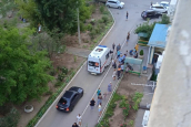 Огромное дерево рухнуло на детскую площадку в Волгодонске, пострадали взрослые и дети, - очевидцы 