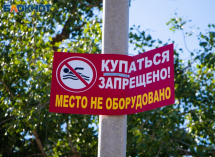 Минприроды: администрация Волгодонского района сама признала пляж в станице Романовской лесом
