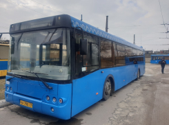 20 автобусов из Москвы выйдут на дороги Волгодонска до конца июня