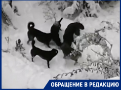 Что произошло в волгодонске. Смотреть фото Что произошло в волгодонске. Смотреть картинку Что произошло в волгодонске. Картинка про Что произошло в волгодонске. Фото Что произошло в волгодонске