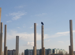 что случилось в волгодонске сегодня. Смотреть фото что случилось в волгодонске сегодня. Смотреть картинку что случилось в волгодонске сегодня. Картинка про что случилось в волгодонске сегодня. Фото что случилось в волгодонске сегодня