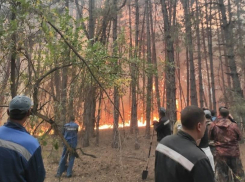 В Большой Мартыновке и Зимовниках создадут станции по тушению лесных пожаров