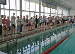 Порядка двухсот сильнейших спортсменов приняли участие в чемпионате Волгодонска по плаванию