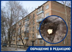 «Спишь и боишься, что на голову упадет»: по натяжному потолку в одной из квартир Волгодонска бегают мыши