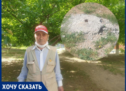 Строители оставили после себя страшные «бетонные пломбы» в липовой роще на Ленина