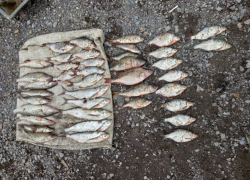 С 20 килограммами рыбы в районе котлованов задержали браконьера