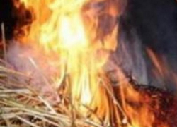 В Мартыновском районе сгорел склад сена