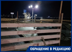 Елочный базар на парковочных местах для инвалидов возмутил жителей Волгодонска
