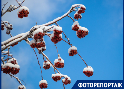 Зимняя сказка в начале весны: Волгодонск вновь засыпало снегом