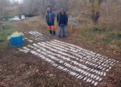 До пяти лет лишения свободы грозит браконьерам за вылов рыбы на 250 тысяч рублей