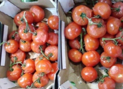 Заплесневелые овощи обнаружили в социальном центре для детей в Мартыновском районе