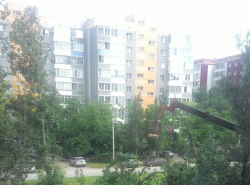 Почему спиливают деревья по улице Гагарина в-16?