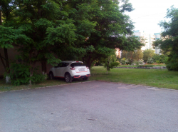 Короли парковки!