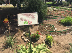 Если я сорву цветок...