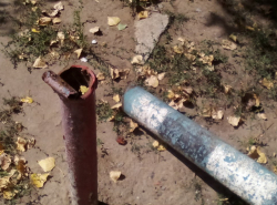 Ограждение возле Департамента труда не выдержало веса севшей на него женщины