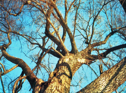 Детский Сад Сухой Тополек. Ждем когда ребенка пришибет?