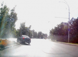 Борзый фраер через две сплошные