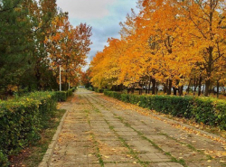 Осень, такая осень!