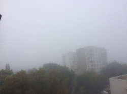 Бешеный туман