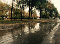 Опять Морскую топит!