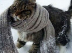 А нам погода нипочем