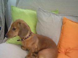 ПОТЕРЯЛСЯ!!!!