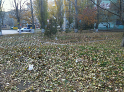 Мусор возле педучилища