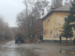 Пилят деревья