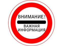 Найден щенок