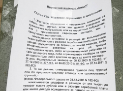 Кошек травят в старом городе