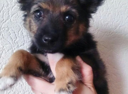 ОЧЕНЬ СРОЧНО!!! ❗❗❗❗❗