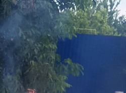 В Красном яру травят дымом