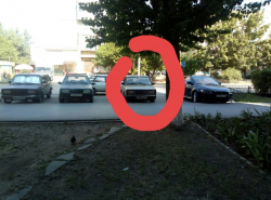 Я паркуюсь как король!!!