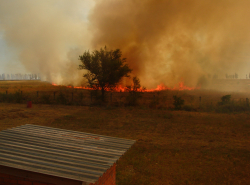 отстояли заводскую территорию
