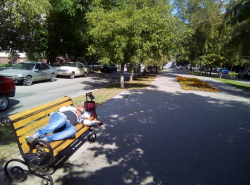 Греется на осеннем солнышке