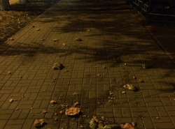 Бомбардировка арбузами