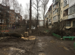 Напилили, а убирать кто будет?