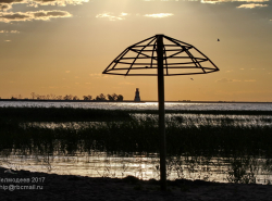 На бывшем пляже больше не растут грибы