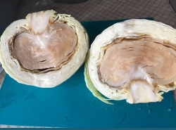 Пятерочка выручает! 