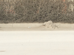 Сомнительно у нас чистят дороги