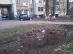 Болото в центре города в память ветеранов?!!!