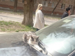 Противоугонная система 